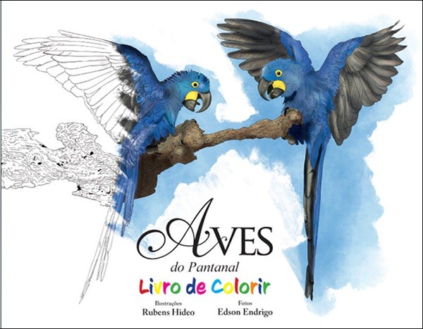livro de colorir, aves para colorir, desenhando aves, desenhar